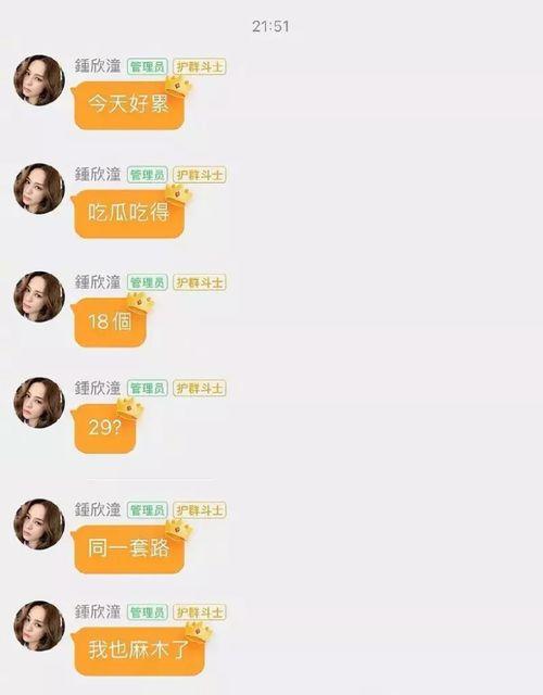 娱乐吃瓜酱传输助手,吃瓜酱助手带你领略幕后风云