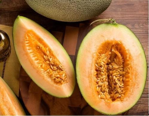 免费哈密瓜可以随便吃吗,尽情享用还是谨慎对待？