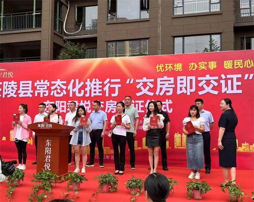 茶陵爆料最新新闻报道,最新突发新闻聚焦，揭秘事件真相