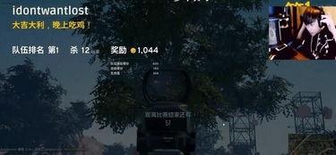 大司马绝地求生爆料视频,独家内幕大公开