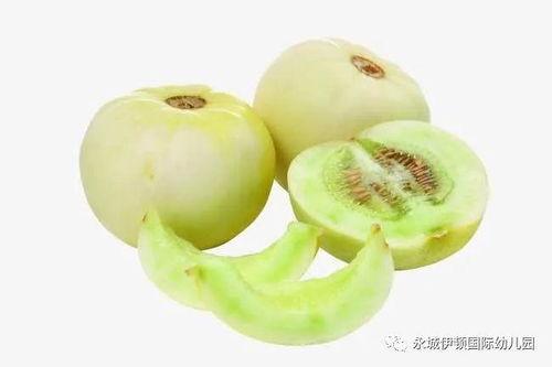 甜瓜美食爆料视频下载大全,解锁夏日美味新境界