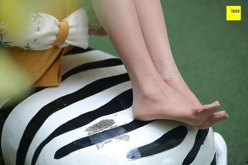 八犬传第一季在线观看,探寻神秘八犬，揭开宿命之谜