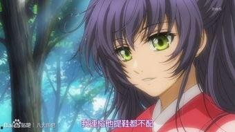 八犬传第一季在线观看,探寻神秘八犬，揭开宿命之谜