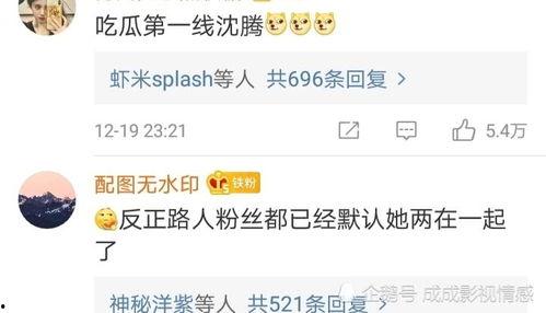 评论娱乐吃瓜,揭秘明星幕后故事