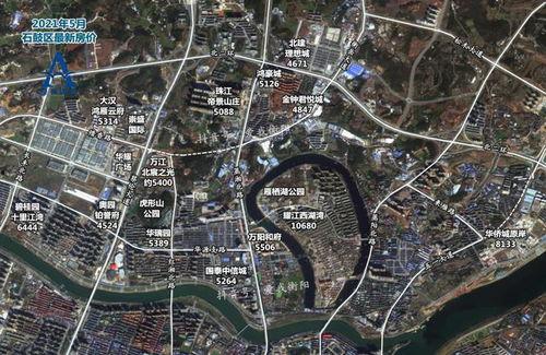 观澜张小姐爆料最新消息,最新消息震撼来袭！