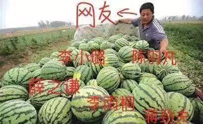 三个瓜最新爆料,揭秘三个瓜最新爆料背后的惊人真相