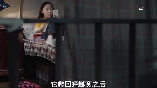 笑笑姐被爆料的视频,揭秘背后真相与争议