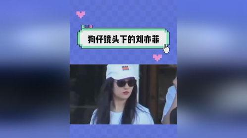 娱乐吃瓜记事本,吃瓜群众视角下的明星八卦