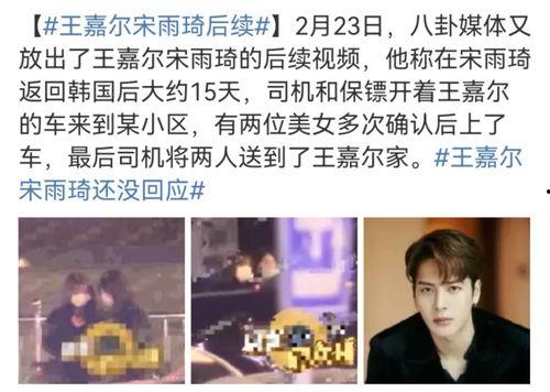 爆料王嘉尔视频大全集下载,精彩瞬间一网打尽