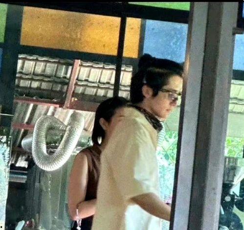 娱乐圈塌房吃瓜是谁,揭秘吃瓜背后的真相与反思