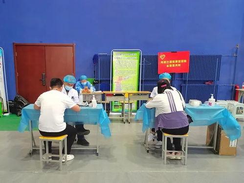 白鲨世冠爆料最新消息,最新赛事动态及幕后花絮大揭秘