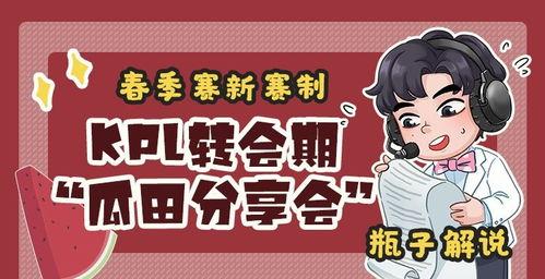 瓶子爆料转会视频大全集,转会视频大全集深度解析