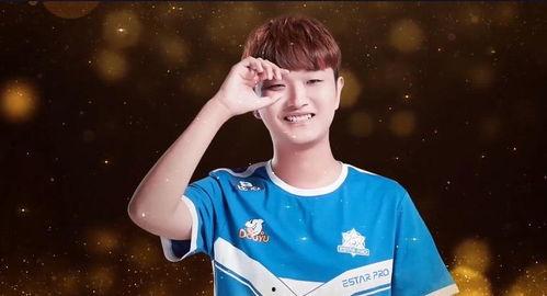 瓶子爆料转会视频大全集,转会视频大全集深度解析