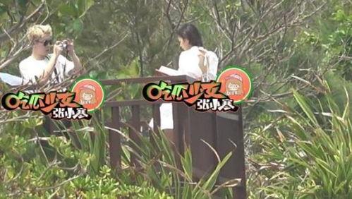 张小寒最新爆料杨超越,张小寒独家爆料引热议