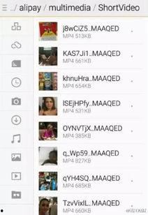 发张视频在线观看,在线观看最新发展视频