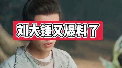 刘大锤爆料郑恺视频,揭秘明星幕后故事