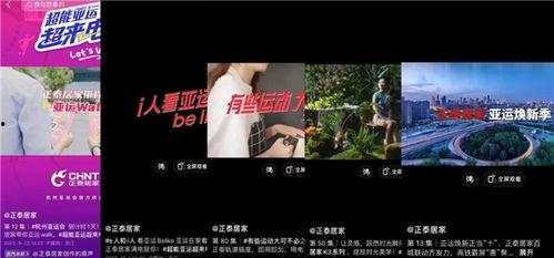 正泰官方爆料视频大全集,揭秘偶像幕后故事