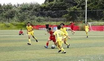 足球爆料假球视频播放下载,假球视频曝光，下载观看揭示暗流涌动