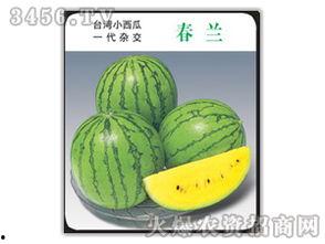 吃瓜娱乐圈小兰花,娱乐圈的甜蜜瓜果，揭秘明星背后的故事