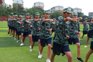 最新军训爆料视频大全,揭秘军营生活瞬间