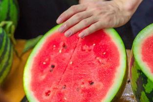 鱼娱乐吃瓜,揭秘娱乐圈那些不为人知的幕后故事