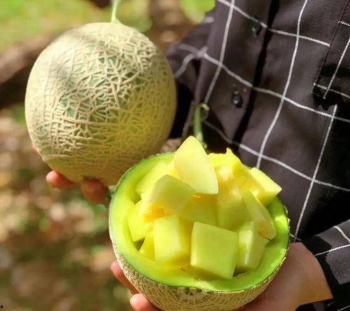 娱乐吃瓜酱吃瓜,吃瓜酱带你领略明星幕后故事