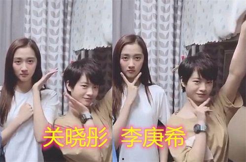 谢娜闺蜜爆料视频事件,真相与争议交织