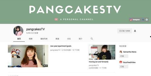 丹麦最新爆料视频网站,独家内容与用户互动新体验