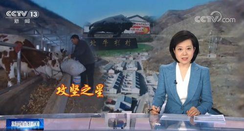 爆料涞源新闻报道视频播放,揭秘事件背后真相