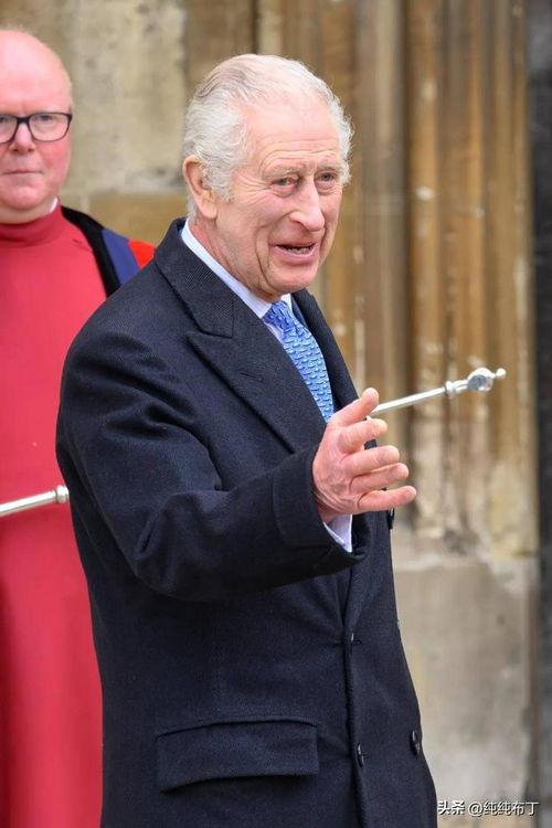 查尔斯最新爆料消息,揭秘王室不为人知的秘密