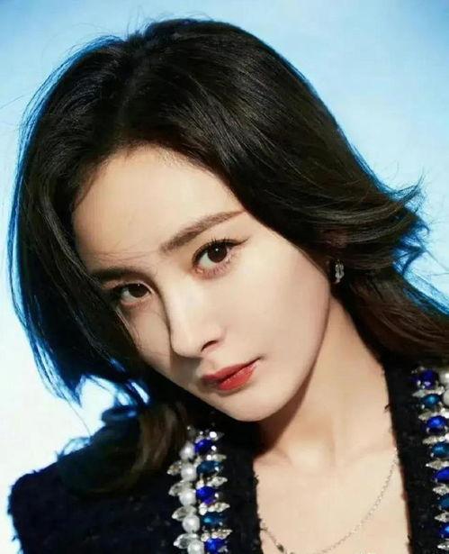 明星娱乐吃瓜酱