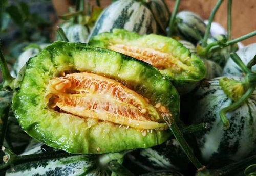 tai9最新吃瓜爆料,tai9最新吃瓜爆料，娱乐圈风云再起！