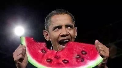 吃瓜娱乐太太是谁,她是谁？在娱乐圈有何影响力？