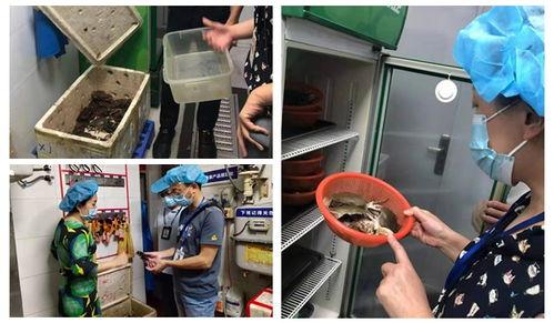 胖哥俩员工爆料视频播放,揭秘后厨真相