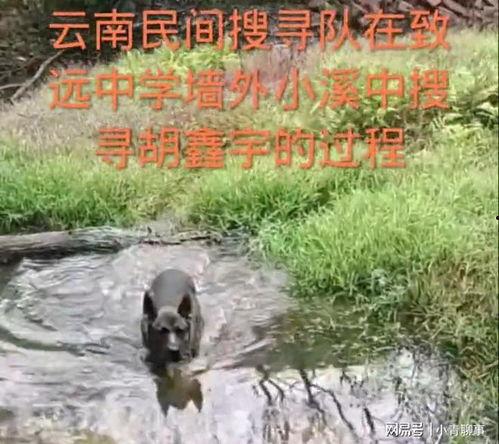 网友爆料胡鑫宇最新消息,网友爆料揭示惊人真相