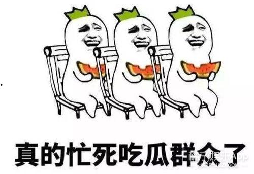 吃瓜群众爱娱乐