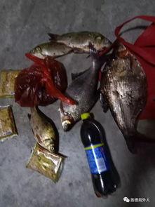 最新偷鱼爆料,揭秘幕后黑手与惊人内幕