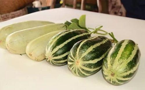 荷兰网红吃瓜视频,揭秘瓜界新潮流