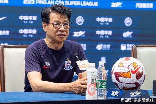 媒体爆料吴金贵视频播放,揭秘足球名帅的场下风采
