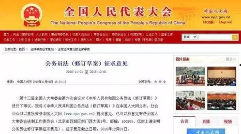 导航员最新爆料新闻,最新热点新闻大揭秘！