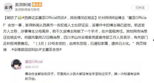 辞职通知书娱乐吃瓜酱,辞职通知书背后的娱乐吃瓜大揭秘