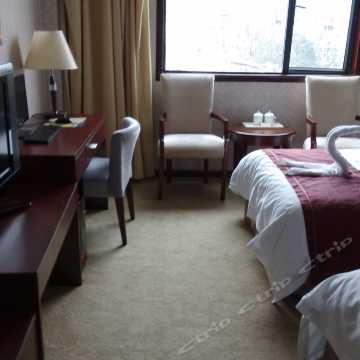 金龙大酒店爆料视频,揭秘酒店内部惊人真相