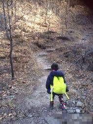 戈田山爬山爆料案件视频,揭秘真相与疑云