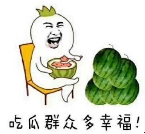 娱乐吃瓜自我介绍,我的趣味生活与八卦世界