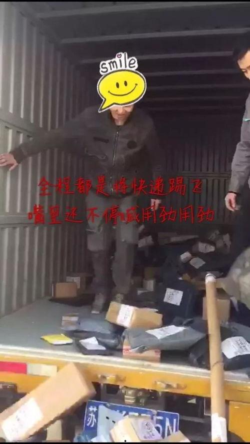 外卖员爆料宠物视频,宠物视频走红网络