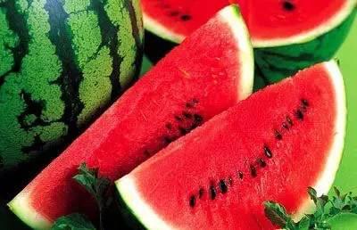 网红们吃瓜张露文庞博文,揭秘张露文与庞博文的幕后故事