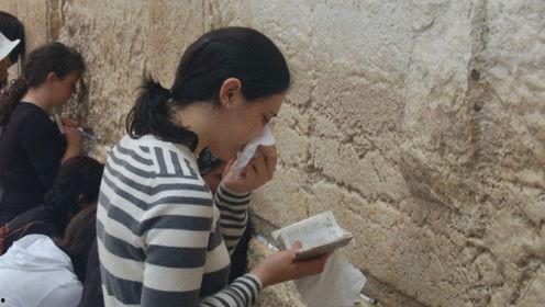 娱乐吃瓜君太阳,揭秘娱乐圈的璀璨明星