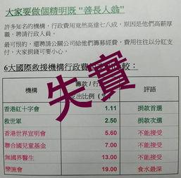 春季更新爆料新闻报道稿,新闻报道稿深度解读